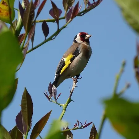 Hotell Casona De San Pantaleón de Aras