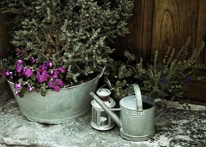 Отель Casona De 3*