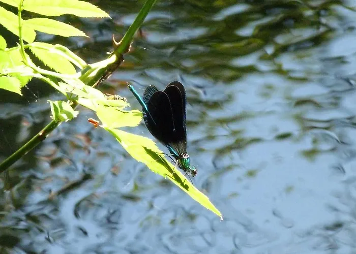 Casona De San Pantaleon de Aras