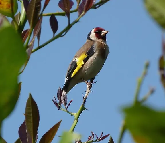 Hotel Casona De San Pantaleon de Aras