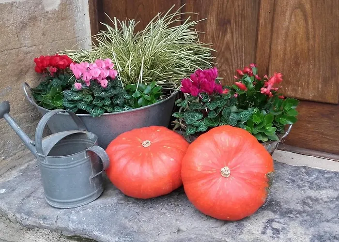 Отель Casona De Сан-Панталеон-де-Арас